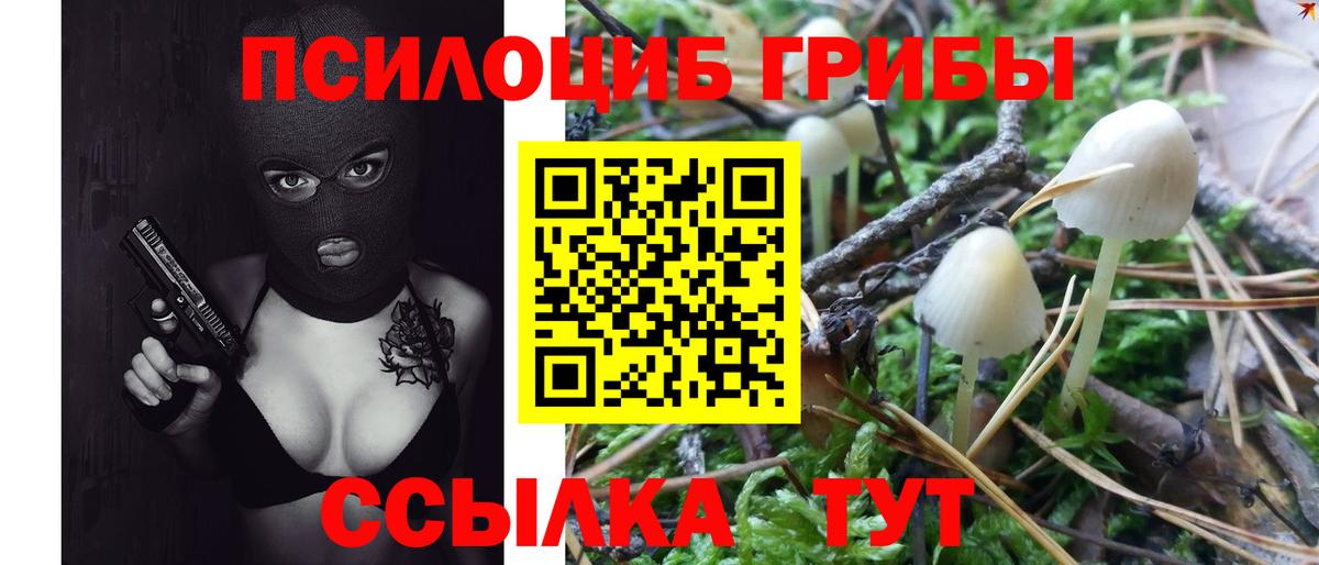 Галлюциногенные грибы мухоморы Свободный