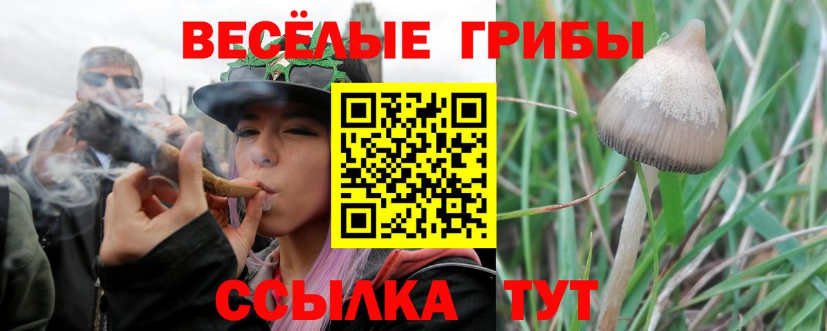 ГАШ Свободный