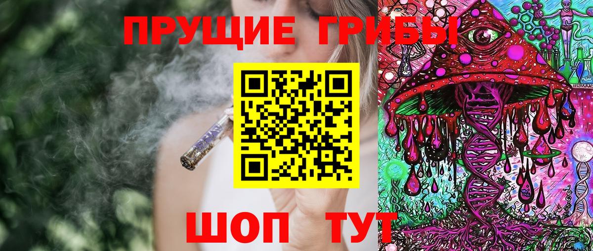 Галлюциногенные грибы Psilocybine cubensis  Вход с VPN  Свободный 
